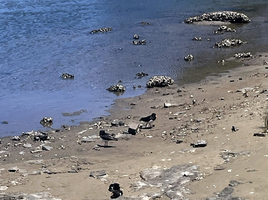 Seven Mile Beach-Shoalhaven必去景点