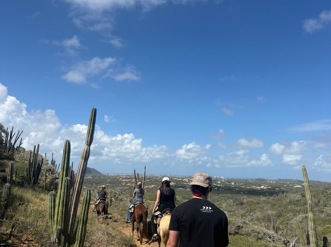 Rancho Loco-Santa Cruz必去景点