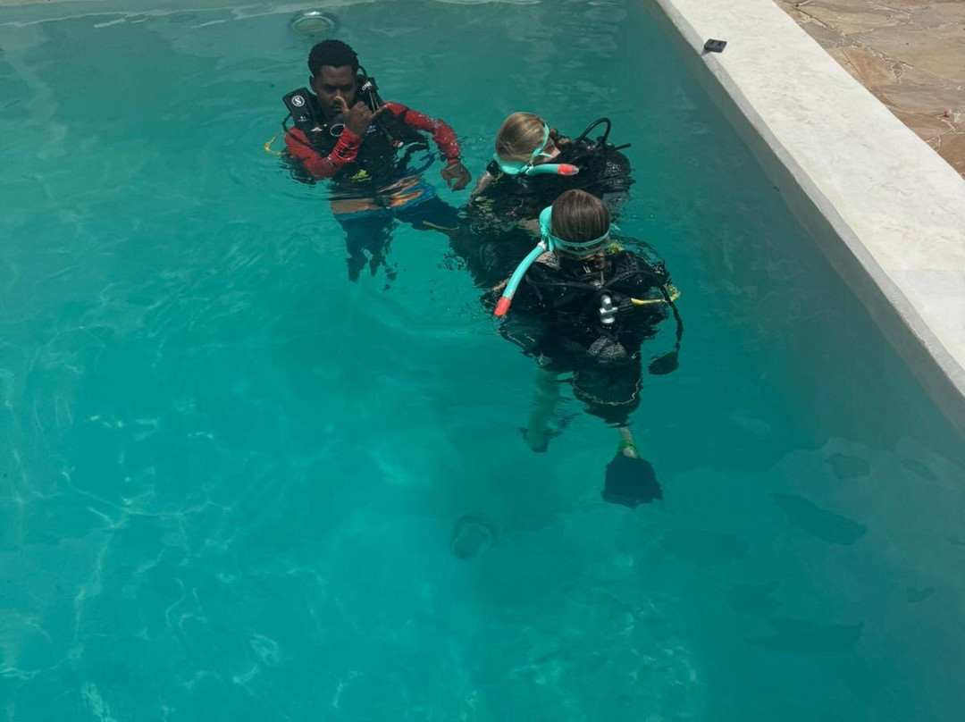 Buccaneer Diving-帕杰必去景点