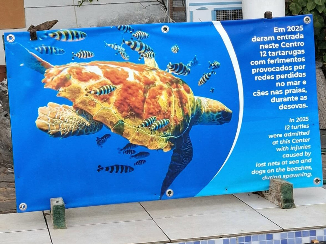 Monte Verde-明德卢必去景点