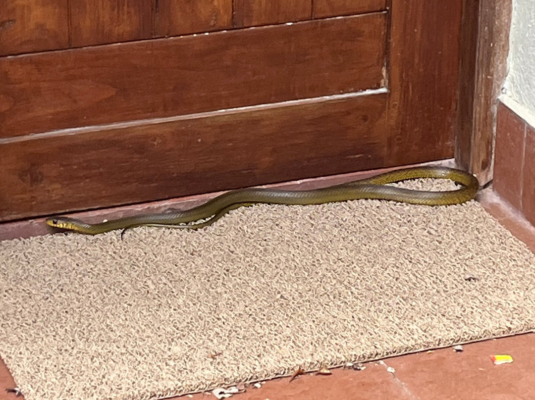 希达勒帕阿欲维达疗养胜地主图