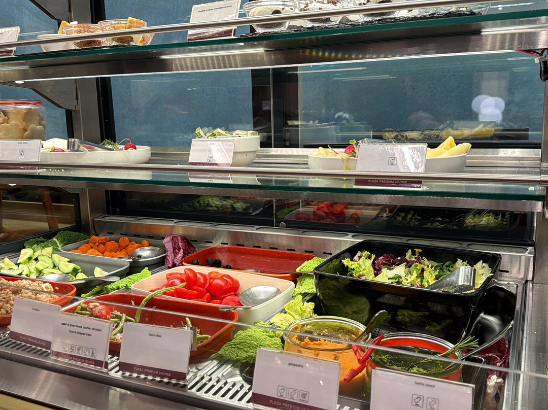 Plaza Premium Lounge (Schengen Area Departures Terminal 1)-菲乌米奇诺必去景点