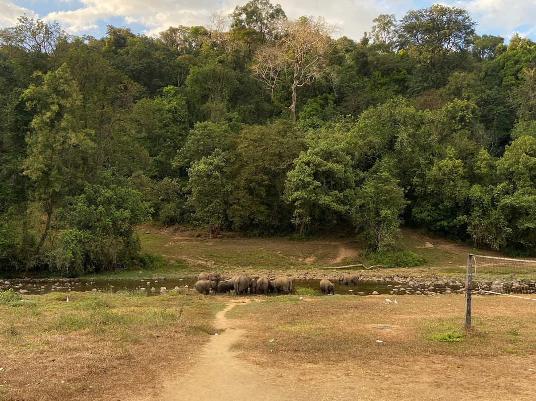 Munnar Info-慕那尔必去景点