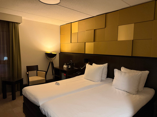 罕布什尔酒店主图