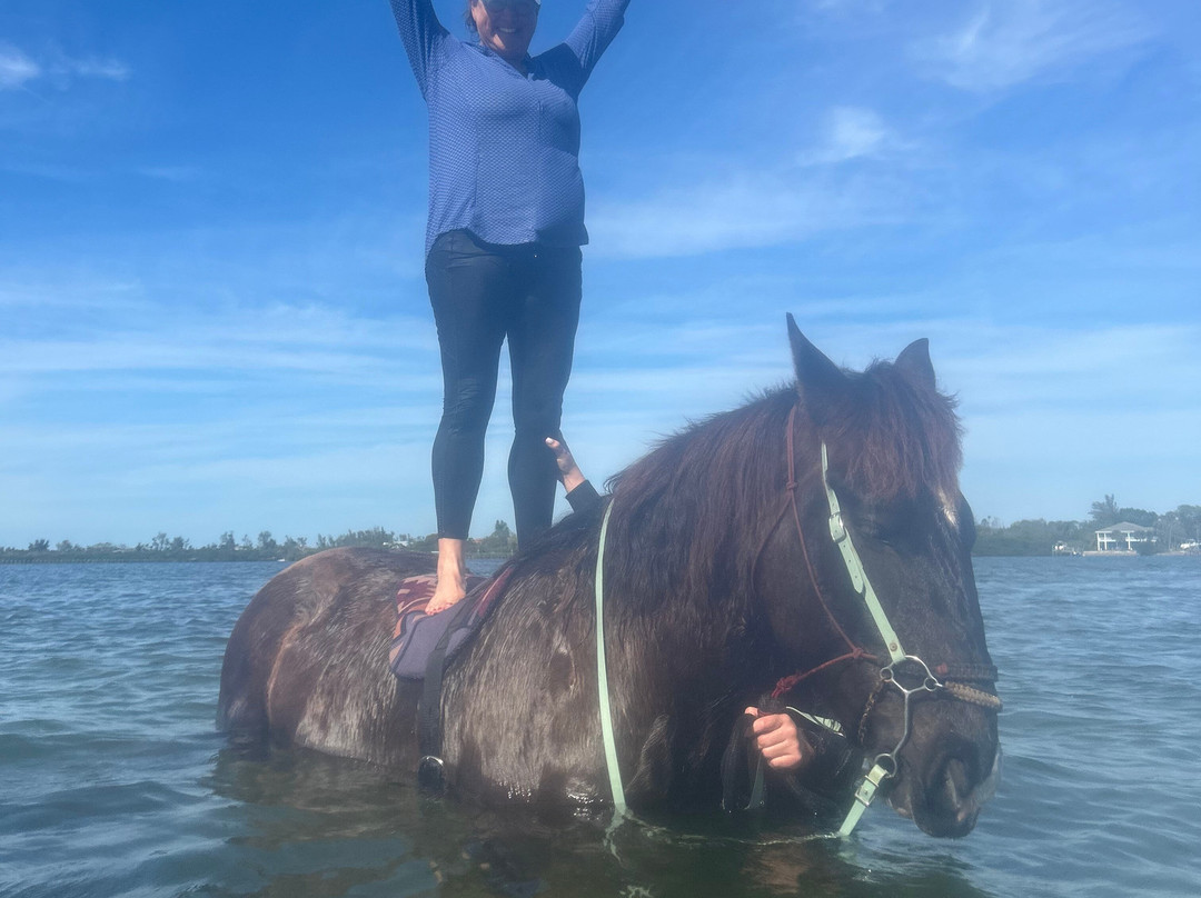 Florida Beach Horses-布雷登顿必去景点