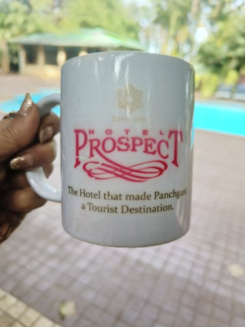 Prospect Hotel-官方