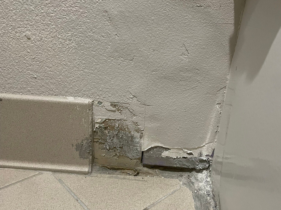 Wingate by Wyndham Brunswick主图