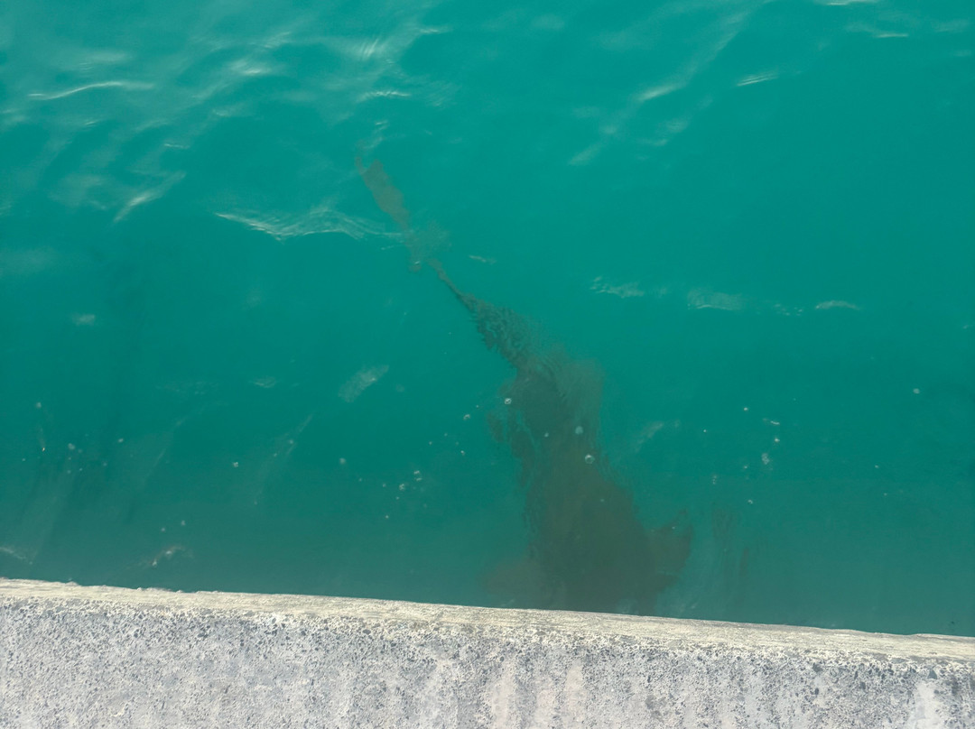 Luau Beach Inn Maldives主图