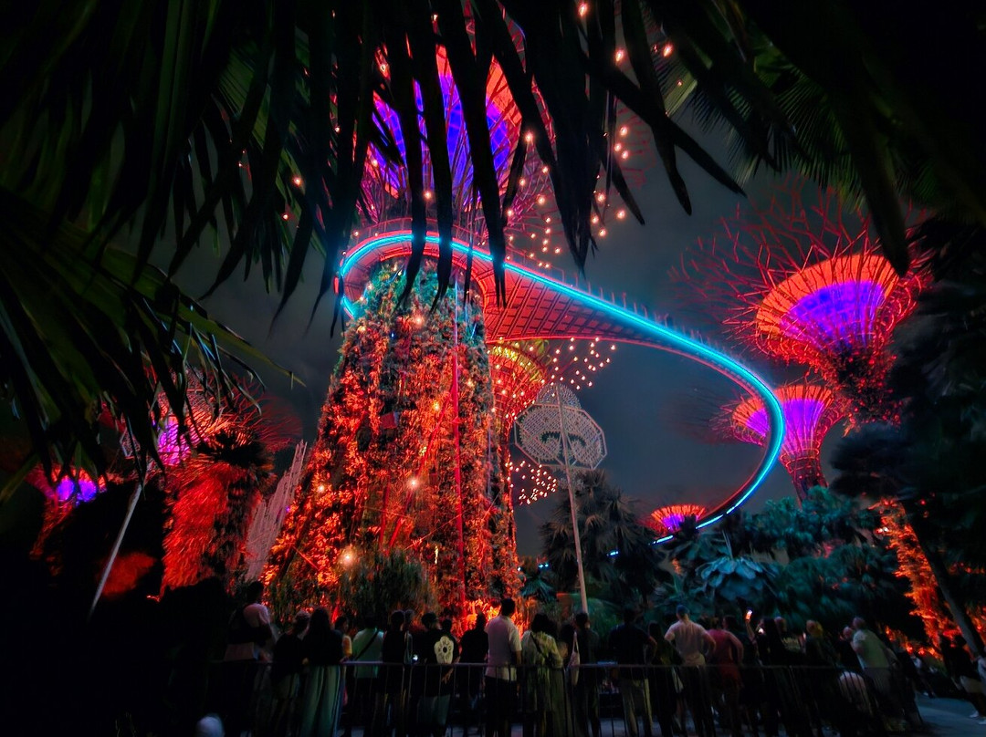 擎天树丛-新加坡必去景点