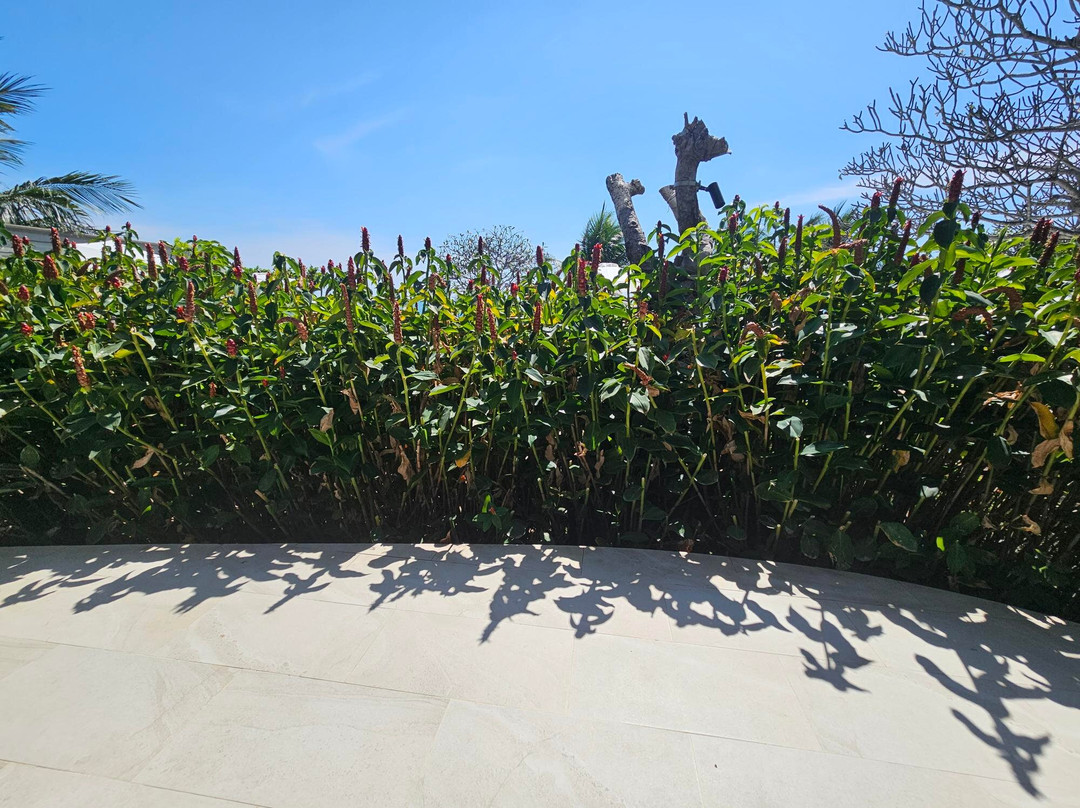 Mercure Rayong Lomtalay Villas & Resort主图