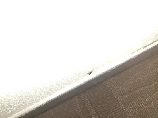 Red Roof Inn Huntington主图