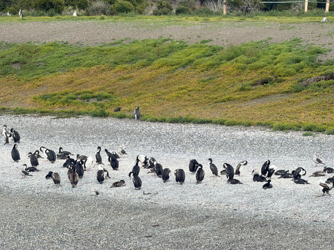 Rumbo Sur-乌斯怀亚必去景点