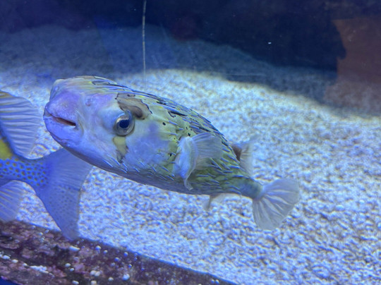 Aquazoo Loebbecke Museum-杜塞尔多夫必去景点