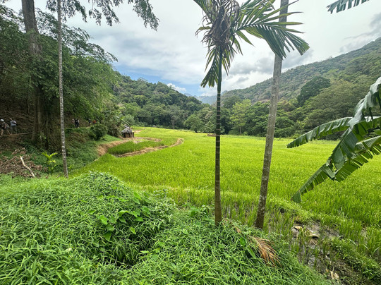 Visit Ceylon-Gampaha必去景点