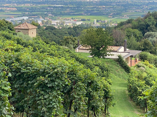 Asolo Manor Wine-阿索洛必去景点