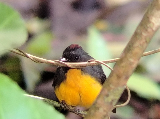 Exciting Travel Costa Rica-阿拉辉拉必去景点