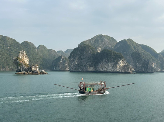 Orchid Trendy Cruises-Bai Chay必去景点