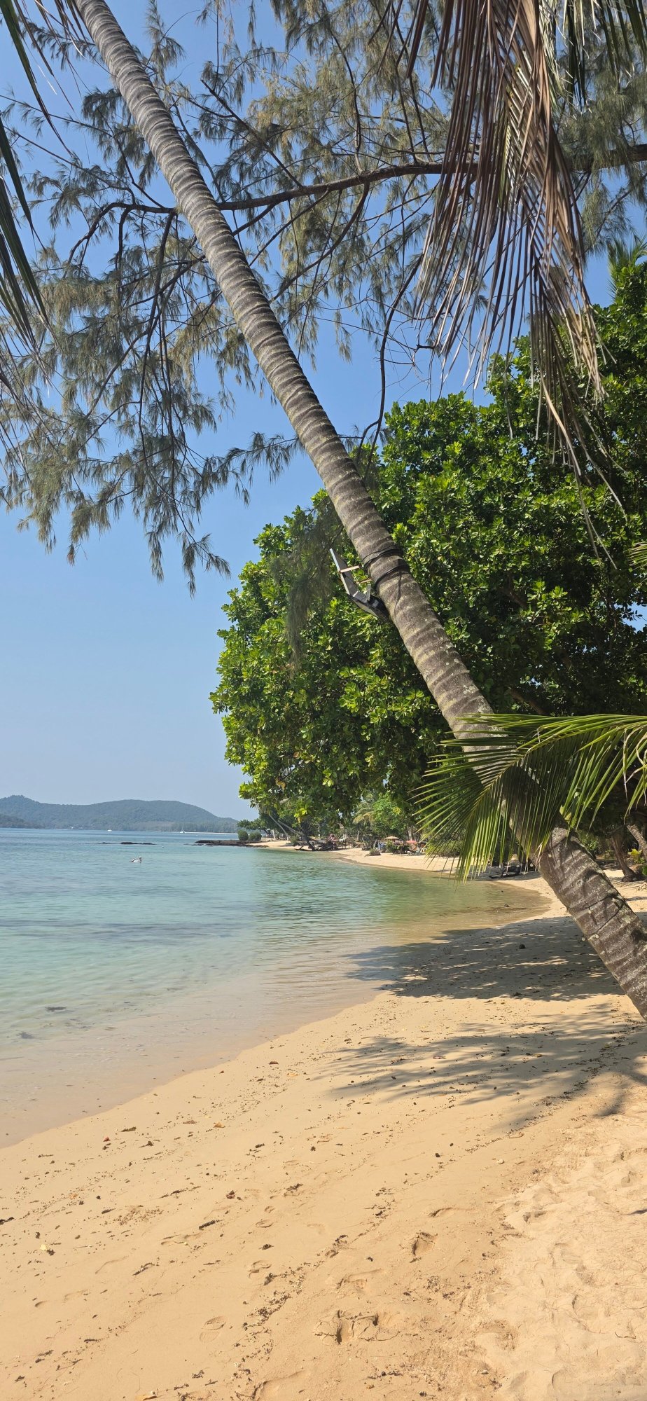 慵懒时日度假村-官方