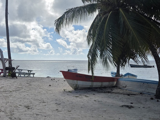 Franconero Escursioni-Bayahibe必去景点