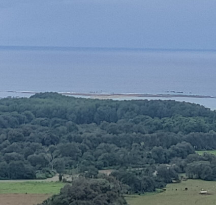 Vista Ballena Hotel主图