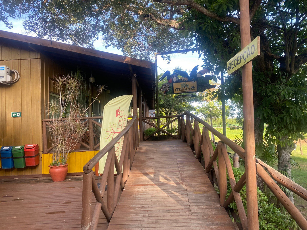 Eco Adventures Travel-大坎普市必去景点