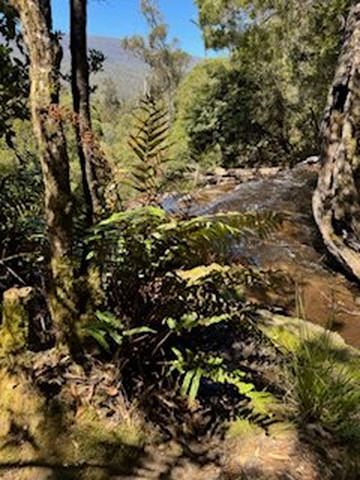 Horseshoe Falls-费尔德山国家公园必去景点