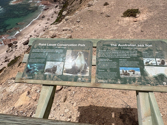 Point Labatt Conservation Park-Streaky Bay必去景点