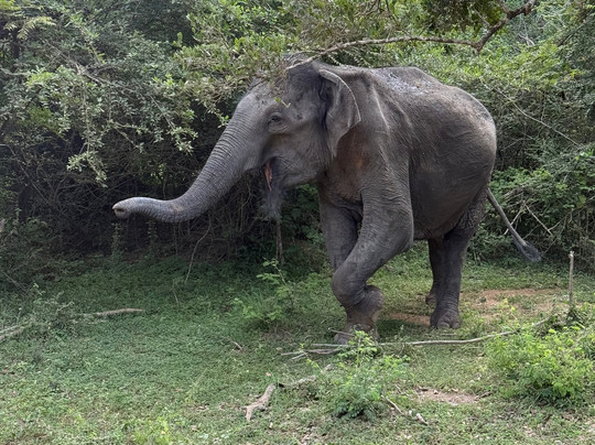 Freedom Safari Jeep Tours-蒂瑟默哈拉默必去景点