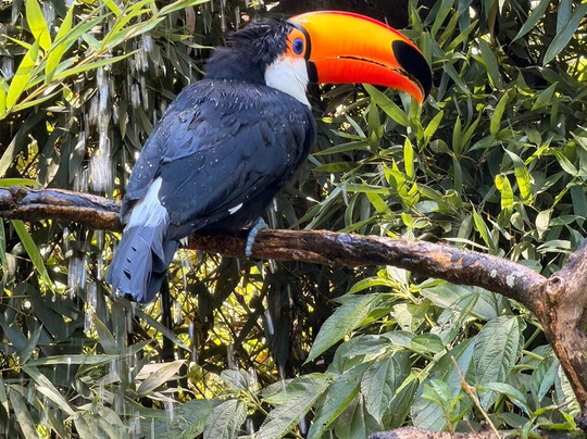 Gramadozoo-格拉玛多必去景点