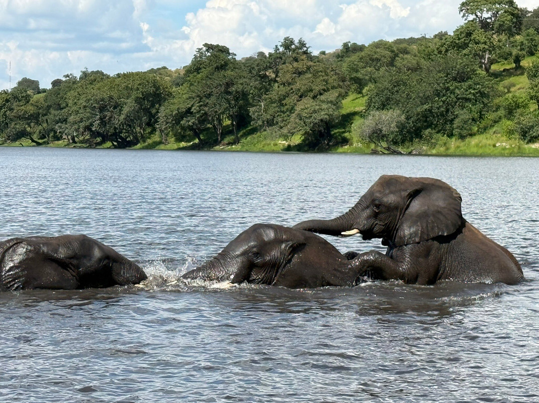 Bushtracks Africa Day Tours-李文斯顿必去景点
