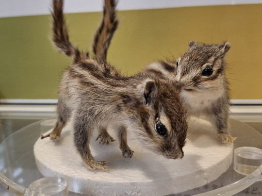 Asahidake Visitor Center-东川町必去景点