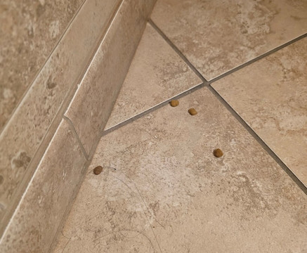 Ramada by Wyndham State College Hotel & Conference Center主图