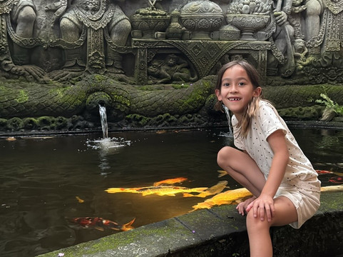 Bali Life Tours-乌布必去景点