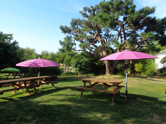 Hotel Aux Tamaris主图