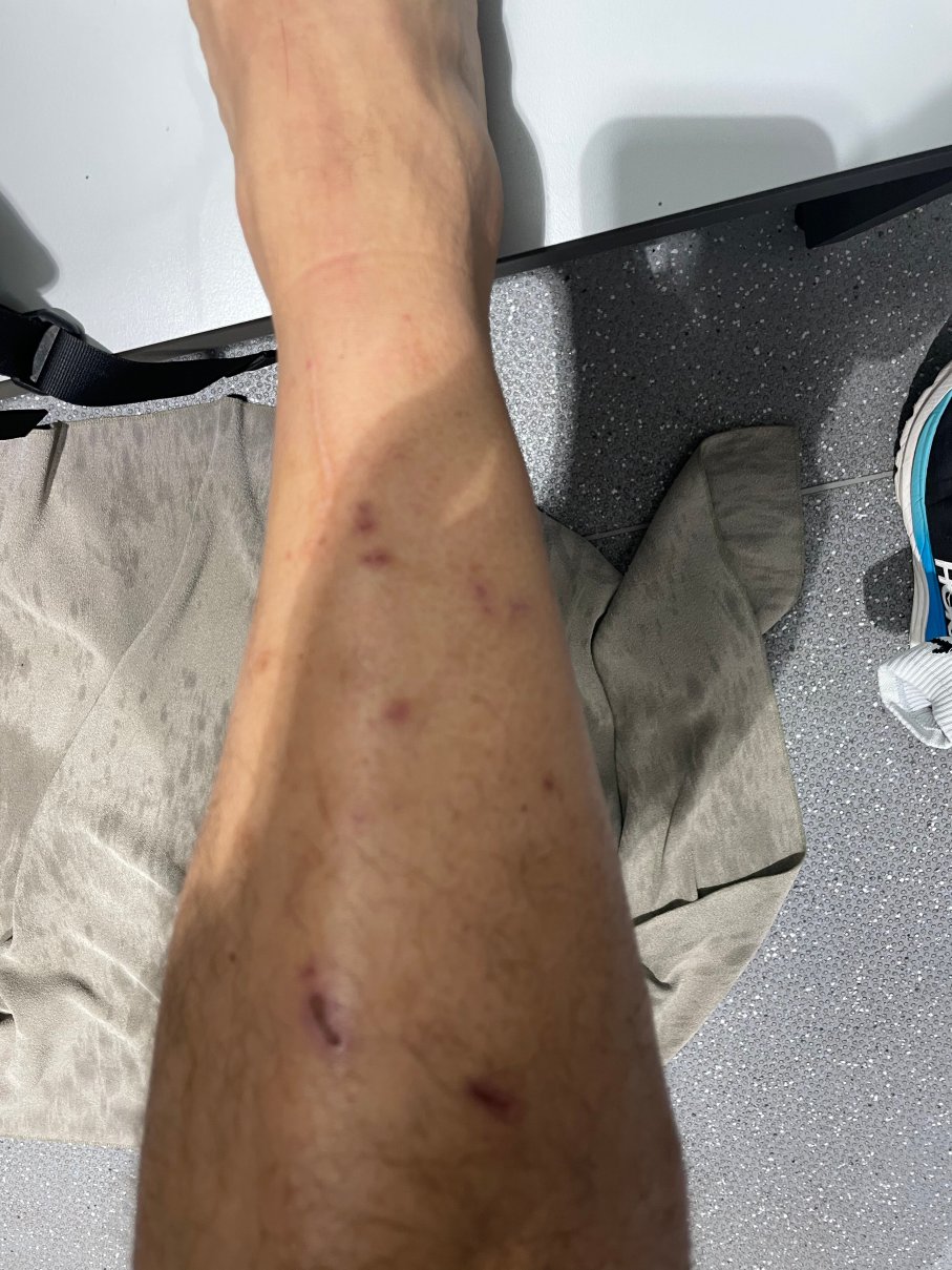 达特福德布兰兹哈奇美居水疗酒店-官方