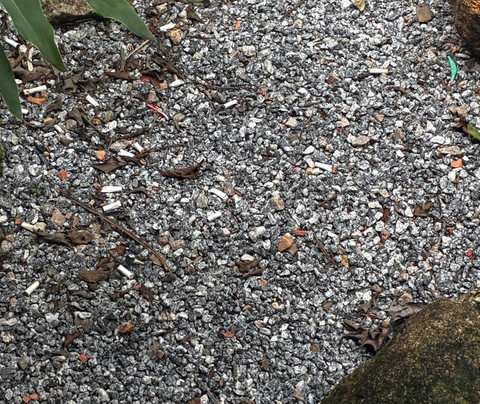 SergioTur-贝洛哈里桑塔必去景点