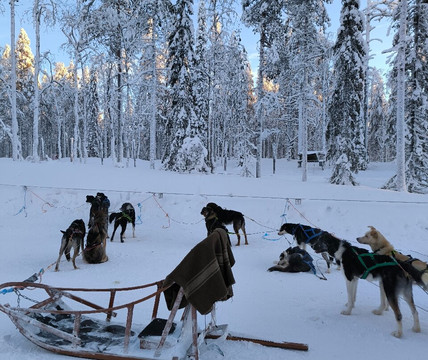 Imagine Lapland-Luosto必去景点