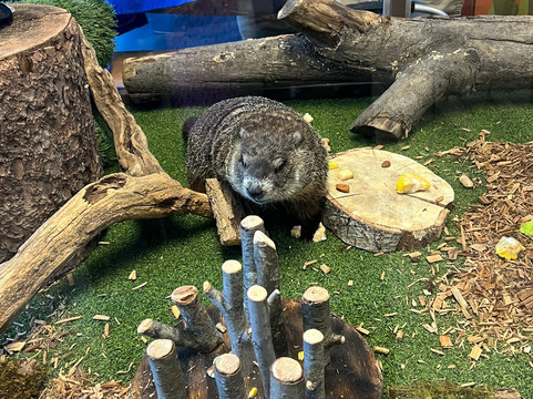 Turtle Back Zoo-西奥兰治必去景点