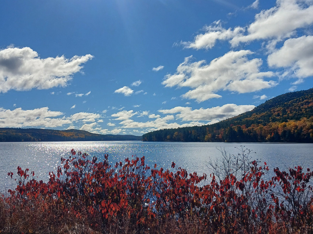 Moose Pond-Bridgton必去景点