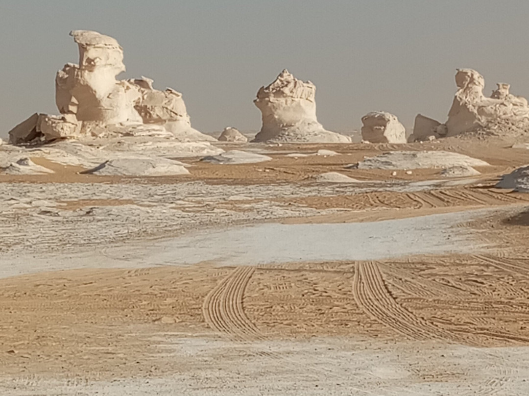 Jimmy Egypt Safari-Bawiti必去景点