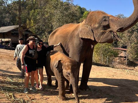 Pon Elephant Thailand-清迈必去景点