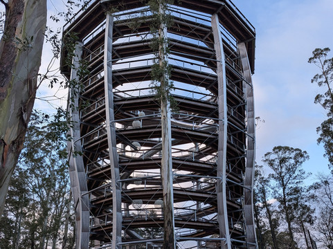 Treetop Walk Avondale-Rathdrum必去景点