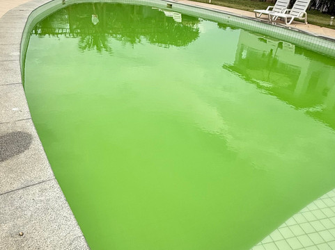 比斯树度假村主图