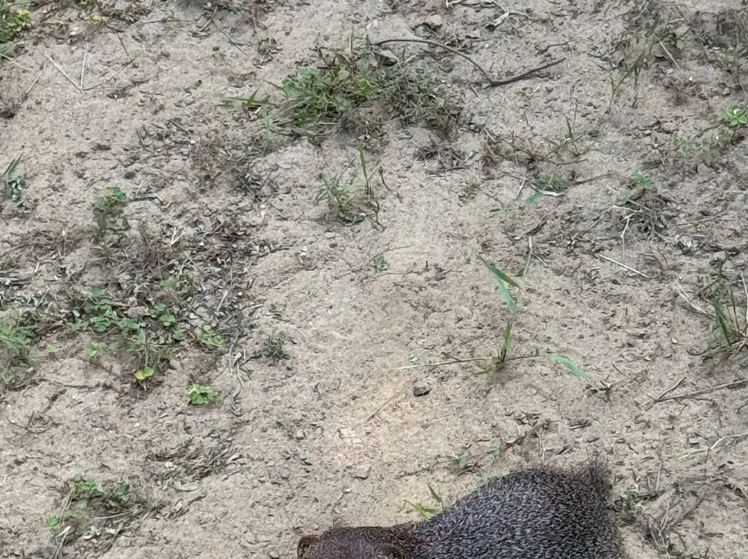 Yala Yewon  Tours-蒂瑟默哈拉默必去景点