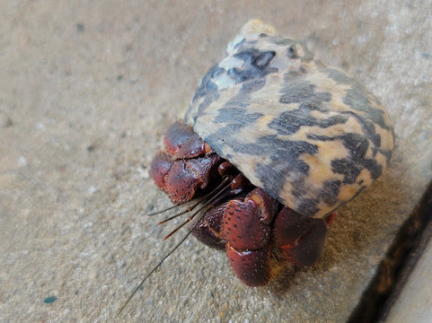 Scilly Cay-Island Harbour必去景点