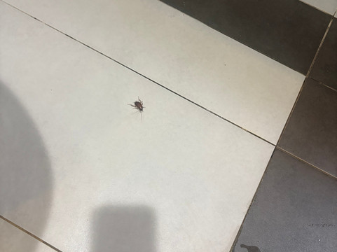 维拉弄宾高尔夫度假村主图