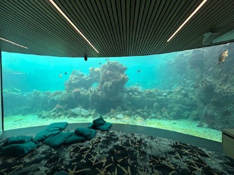 白日梦岛度假酒店-浴室