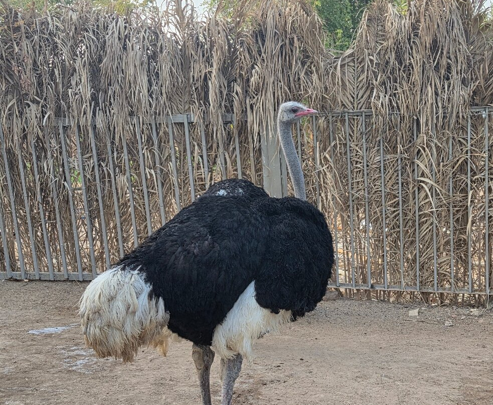 Hurghada Grand Aquarium-赫尔格达必去景点