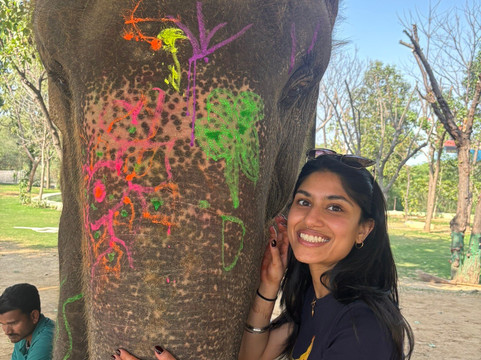 大象奇迹观光农场-斋蒲尔必去景点