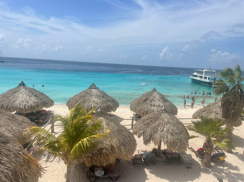 BlueFinn Charters-威廉斯塔德必去景点